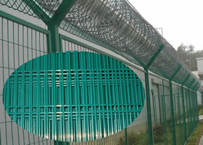 Green vinyl coated welded wire fence of rectangular hole structure used as perimeter security mesh with concertina razor coils on top supported by Y post