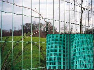 Border and Perimeter Fencing